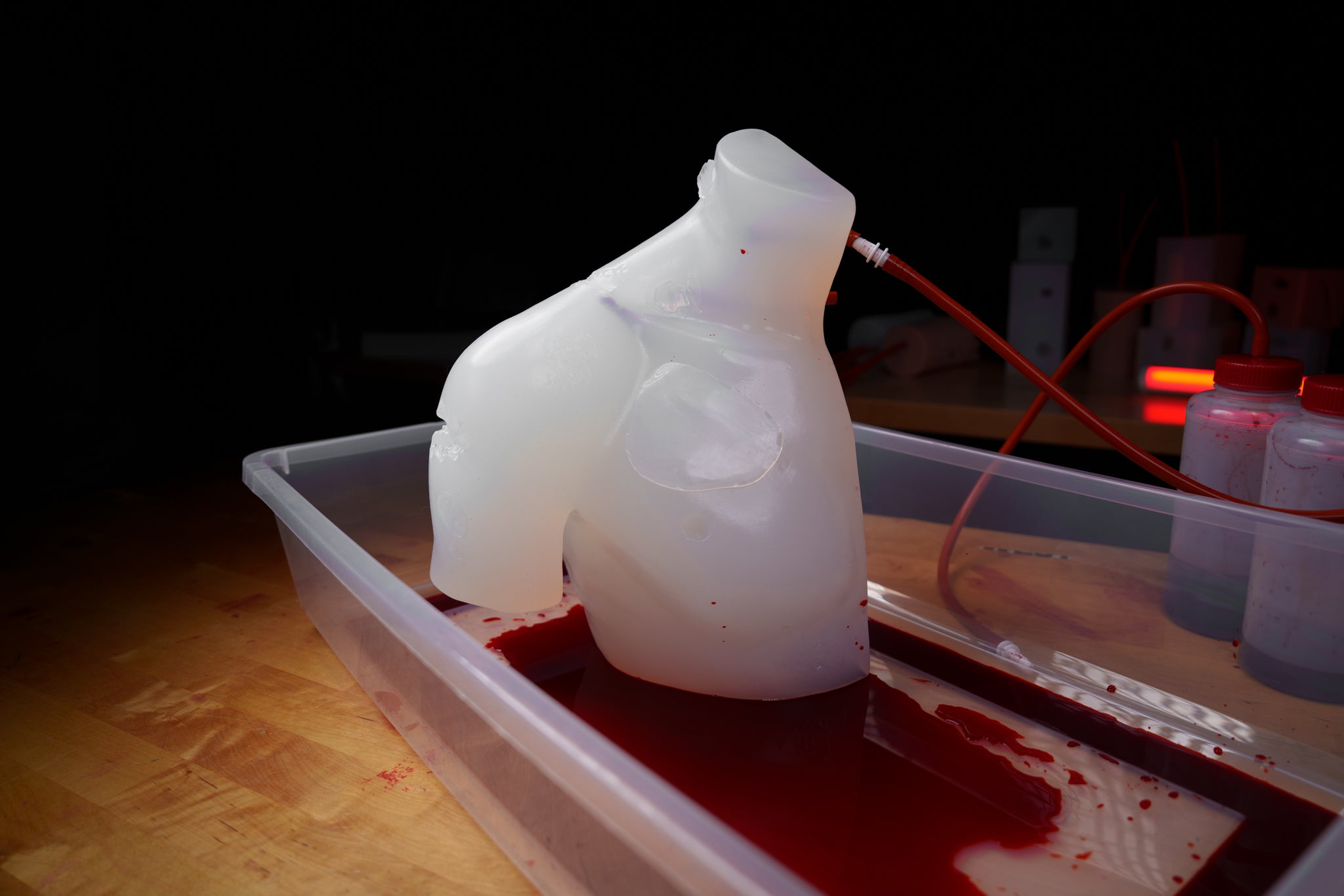 Wound Torso - Phokus Research Group