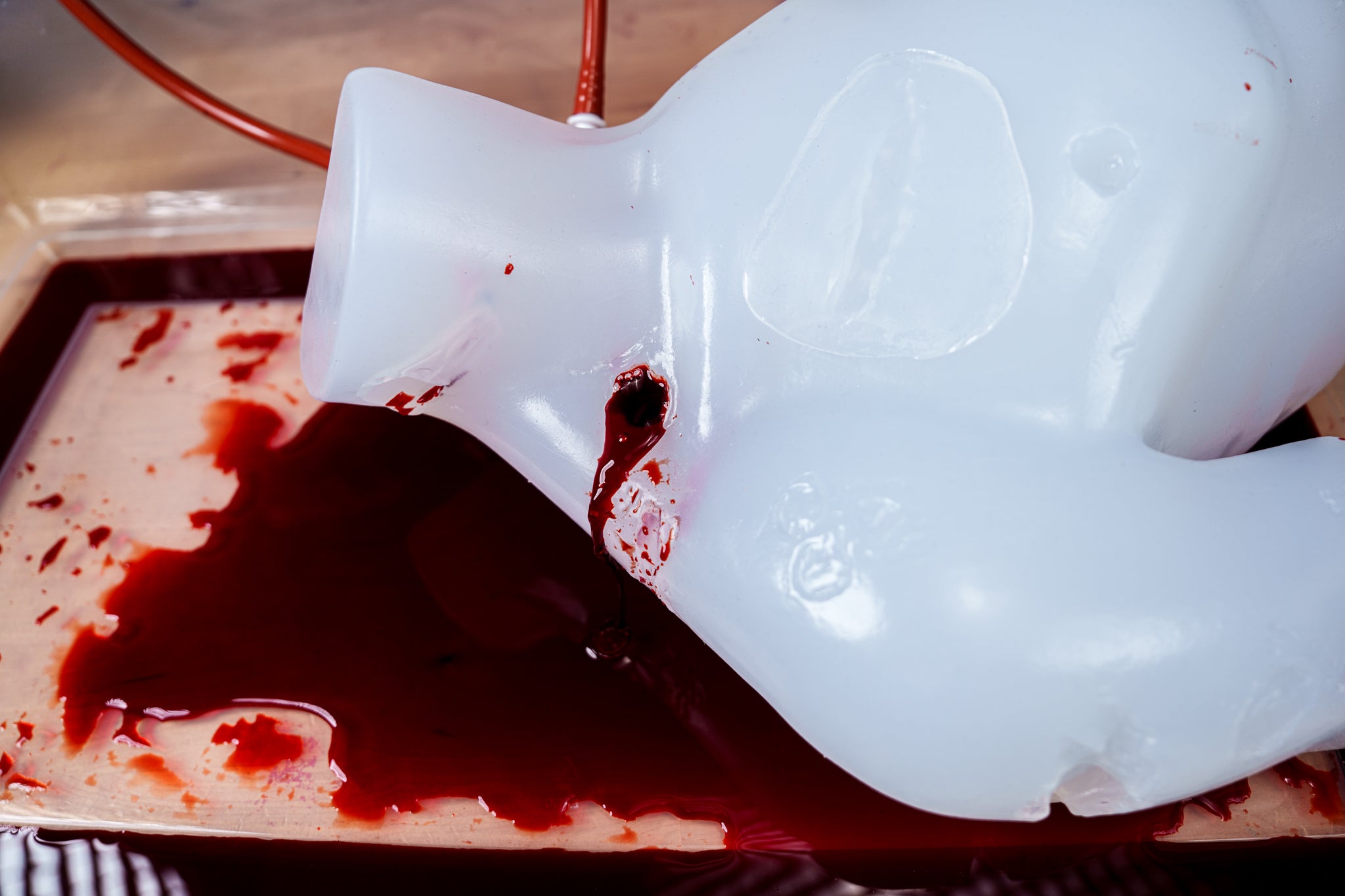 Wound Torso - Phokus Research Group