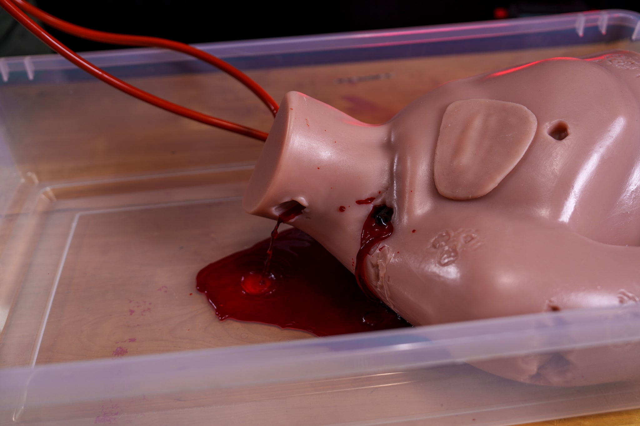 Wound Torso - Phokus Research Group