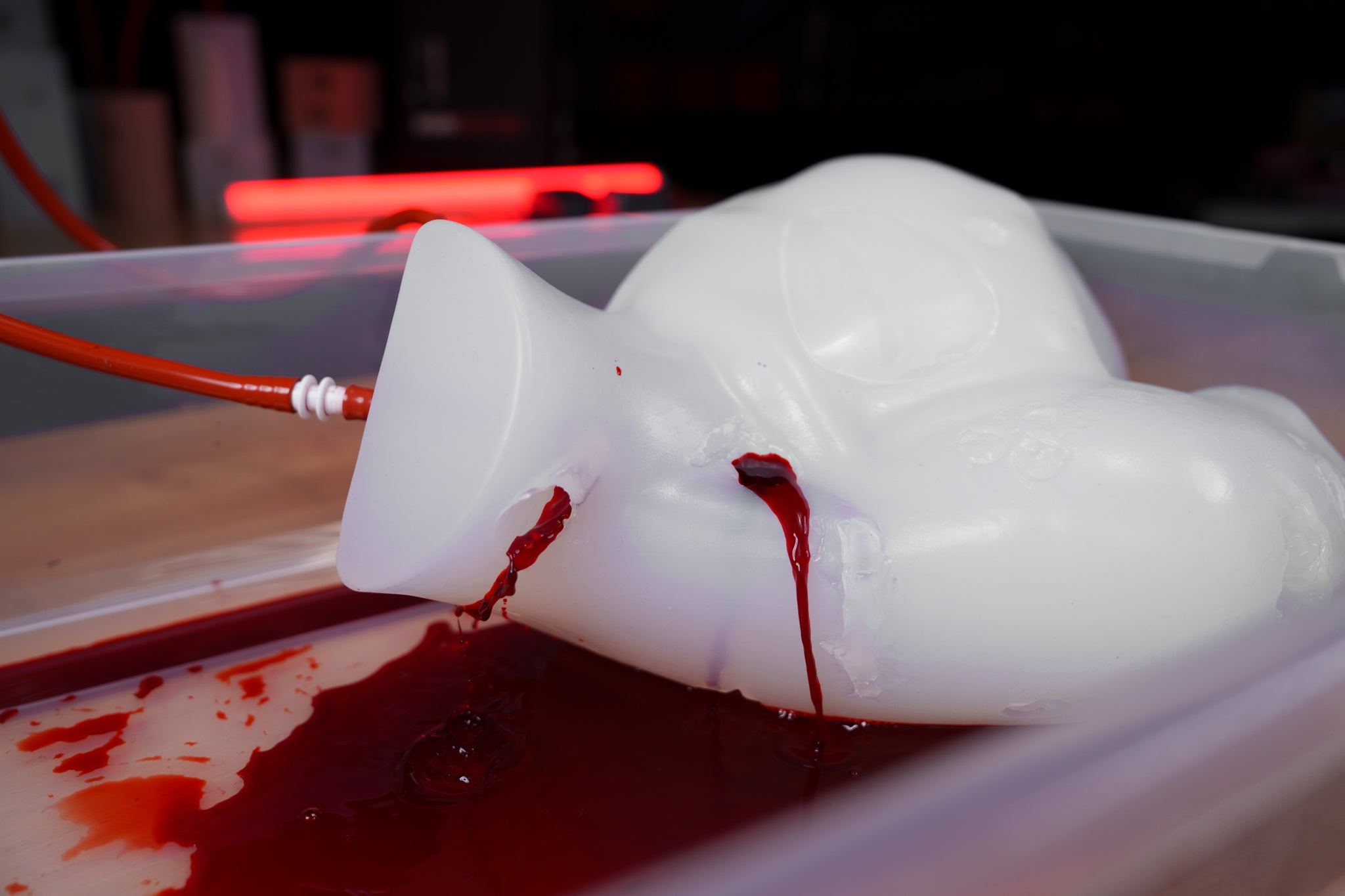 Wound Torso - Phokus Research Group