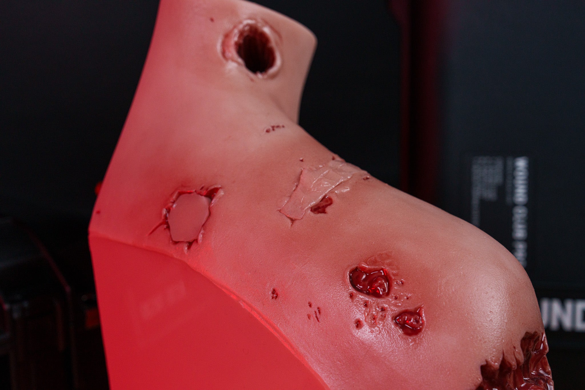 Wound Torso - Phokus Research Group