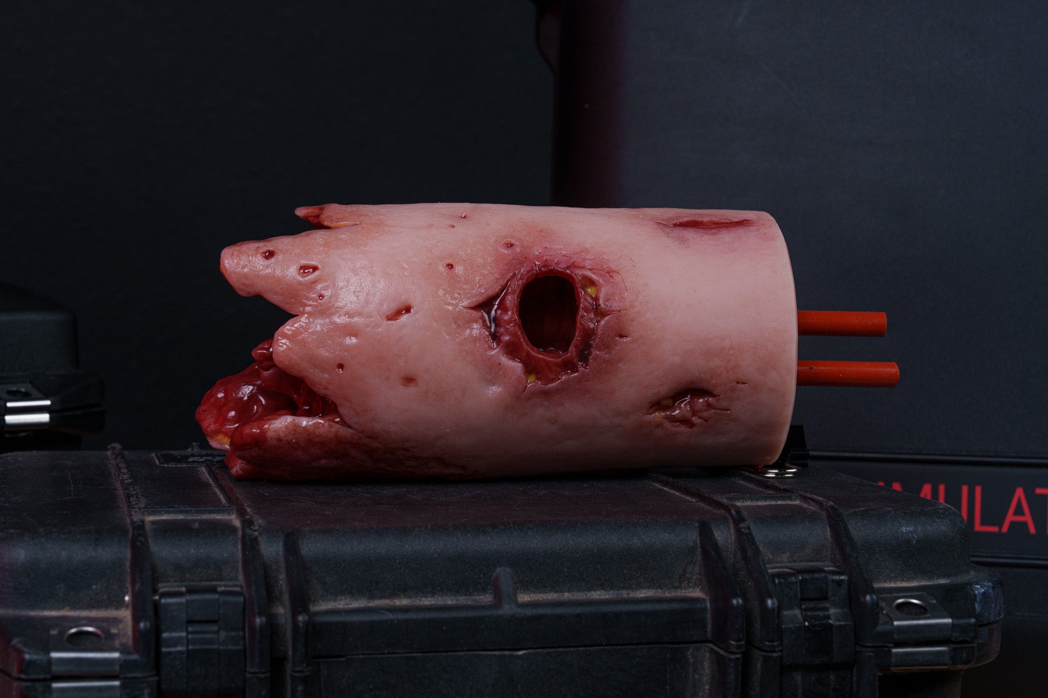 Wound Stump - Phokus Research Group